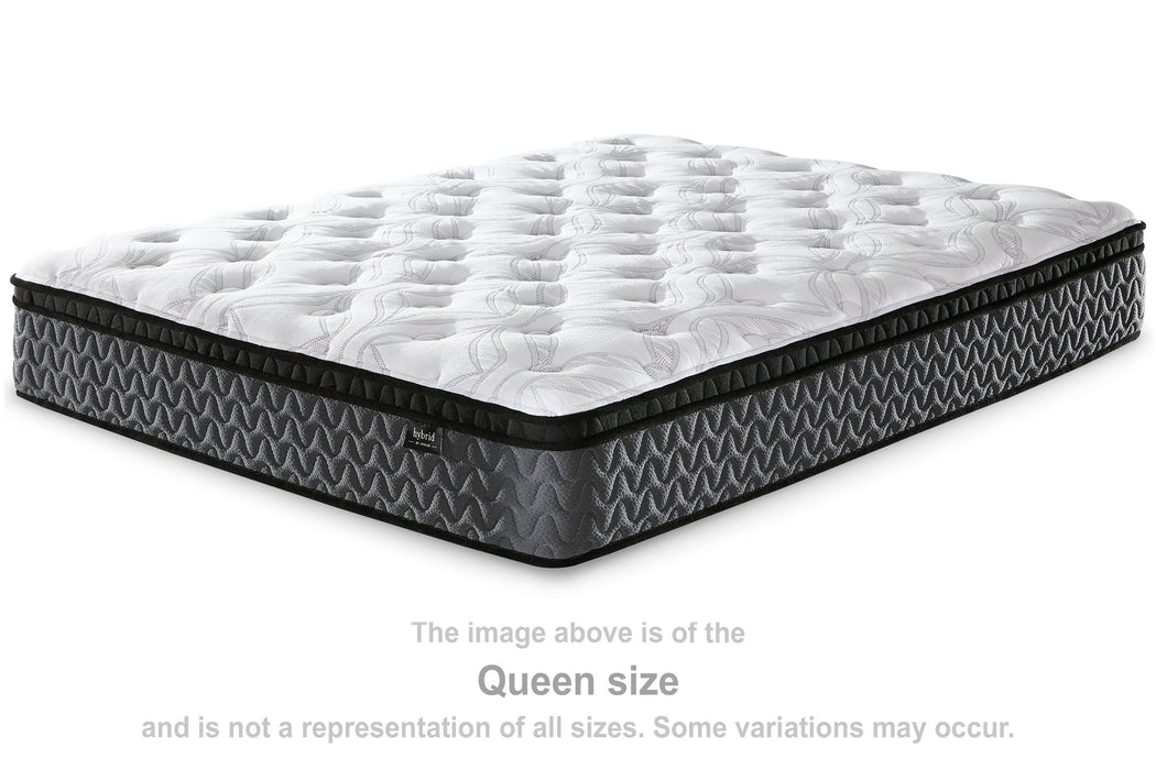 12 Inch Pocketed Hybrid - Mattress